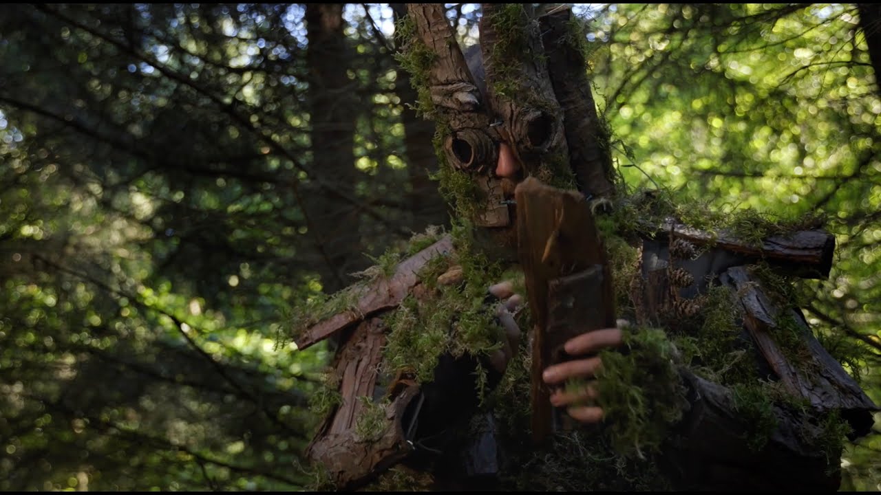 Skogsmonitor - en film om karttjänsten från Skydda Skogen