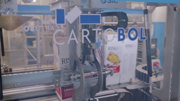 CARTOBOL FULLY AUTOMATIC BAG IN BOX FILLING LINE FOR EDIBLE OIL - CUSTOMER VANDEMOORTELE