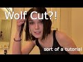 Cutting My Hair (Wolf Cut/Shag?!)