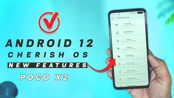 Android 12 Cherish OS 3.0 Beta 2 for Poco X2 Review, New Customization and features