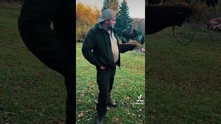 Ausbildung Zum Falkner