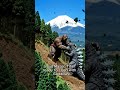 The Amazing Evolution of King Kong (1933 - 2024) 🦍🔥