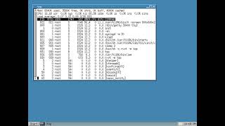 Xwoaf pup170910 w/16MB RAM in Virtual Box 800x600 (1 of 2)