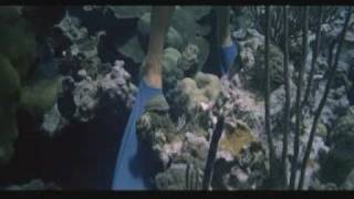 Girl Snorkeling Gets Her Dive Fins Stuck Between The Rock