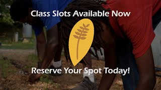 Atlanta Harvest - Gardening Classes Available Now