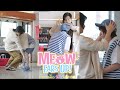 Post Credits Scene Meow Ears Up น องเหม ยวในห องผม EP1 ONAIR Post Credits Scene Meow Ears Up น องเหม ยวในห องผม EP1 ONAIR
