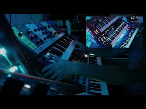 Yanagiwarado - MOOG Matriarch / MOOG Grandmother / Roland System-8 / Yamaha Montage
