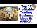 Top 12 Profitable Trading Business Ideas & Opportunities IN AFRICA | BEST TRADING SMALL BUSINESS