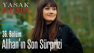 Alihan'ın son sürprizi - Yasak Elma 36. Bölüm