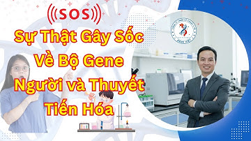Giải Mã Gen Người: Trí Tuệ Hay Ngẫu Nhiên?