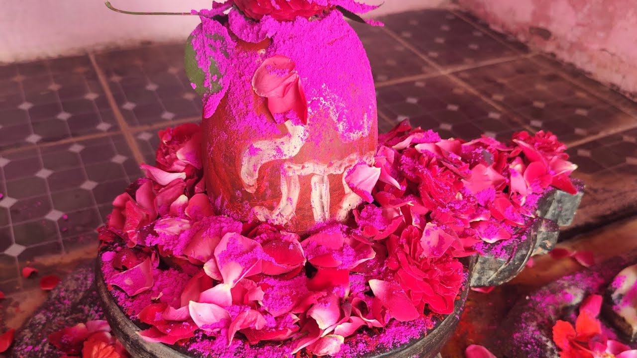 Amla ekadashi rangbhari ekadashi ki dher sari shubhkamnaen sabhi ko#@Cheshta Singh official@