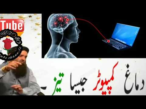 دماغ تیز کمپیوٹر سے بھی زیادہ...