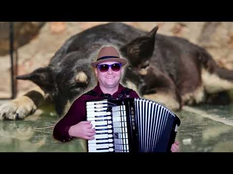 Tomasz Paluch -