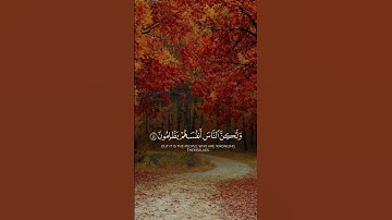 #قرآن #المصحف #تلاوة_خاشعة #راحة_نفسية #لايك #اكسبلور #تيك_توك