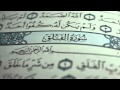 سورة الفلق ماهر المعيقلي 