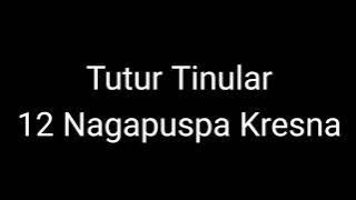 Episode 331 Tutur Tinular - 12 Nagapuspa Kresna
