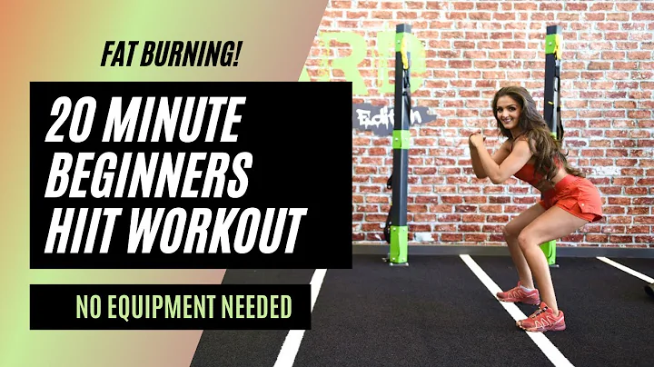 2O MINUTE BEGINNERS HIIT WORKOUT FOR FAT BURNING -...