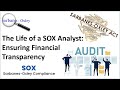 The Life of a SOX Analyst: Ensuring Financial Transparency #sox #audit #auditor #compliance #finance