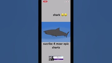 i was too lazy to crop it #shark
