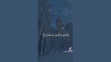 أوائل سورة الرحمان '' سعيد 🕌