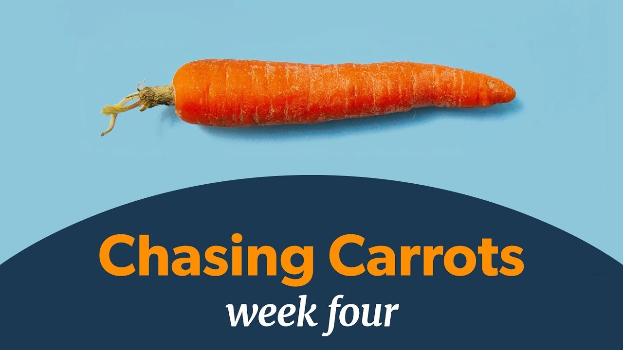 Chasing Carrots | Week 4 - YouTube