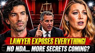 Blake Lively's Biggest Problem Just Got WORSE - Here's What Bryan Freedman Found