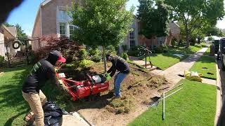 Sod Squad: Time-Lapse Prep for Greenery Galore!