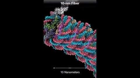 From smallest to the largest units of measurement - Interesting video