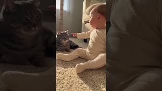 Baby Scolds Cat No Ch Da Coush