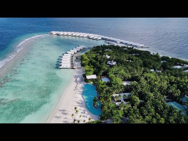 Travel vlog - Amilla Maldives: one of the largest luxury resorts in the Maldives 🇲🇻