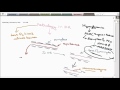 diabetic retinopathy epidemiology and pathogenesis