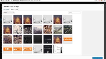 Attractor WordPress Theme - Create the Portfolio