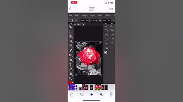 Colour Splash in Photopea on iPhone Tutorial