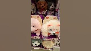 Suprise puppy emco #youtubefeed #dolls #doll #boneka #bonekalucu #anjing #lucu #puppies