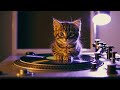 Midnight Soulcity 3 | Smooth Retro Soul Groove &amp; Nostalgic Funk | The Soul Machine Stream