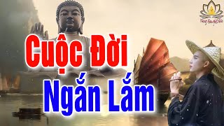 Mỗi Đêm Nghe Cuộc Đời Này Ngắn Ngủi Lắm, Hãy Trân Trọng Những Gì Mình Đang Có