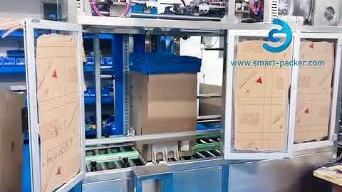 Automatic bag forming inserting carton box bag in box packing machine testing video