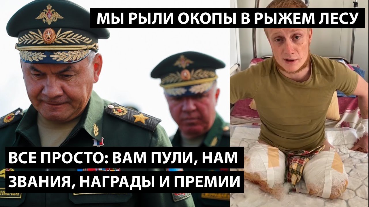 Все просто: вам пули, нам звания, награды и премии. МЫ РЫЛИ ОКОПЫ В РЫЖЕМ ЛЕСУ