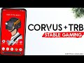 Stabil Gaming❗ Best Gaming Rom untuk Asus Zenfone Max Pro M1