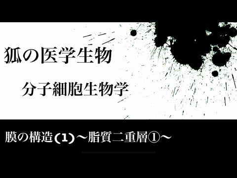 分子細胞生物学45 膜の構造(1)〜脂質二重層①〜