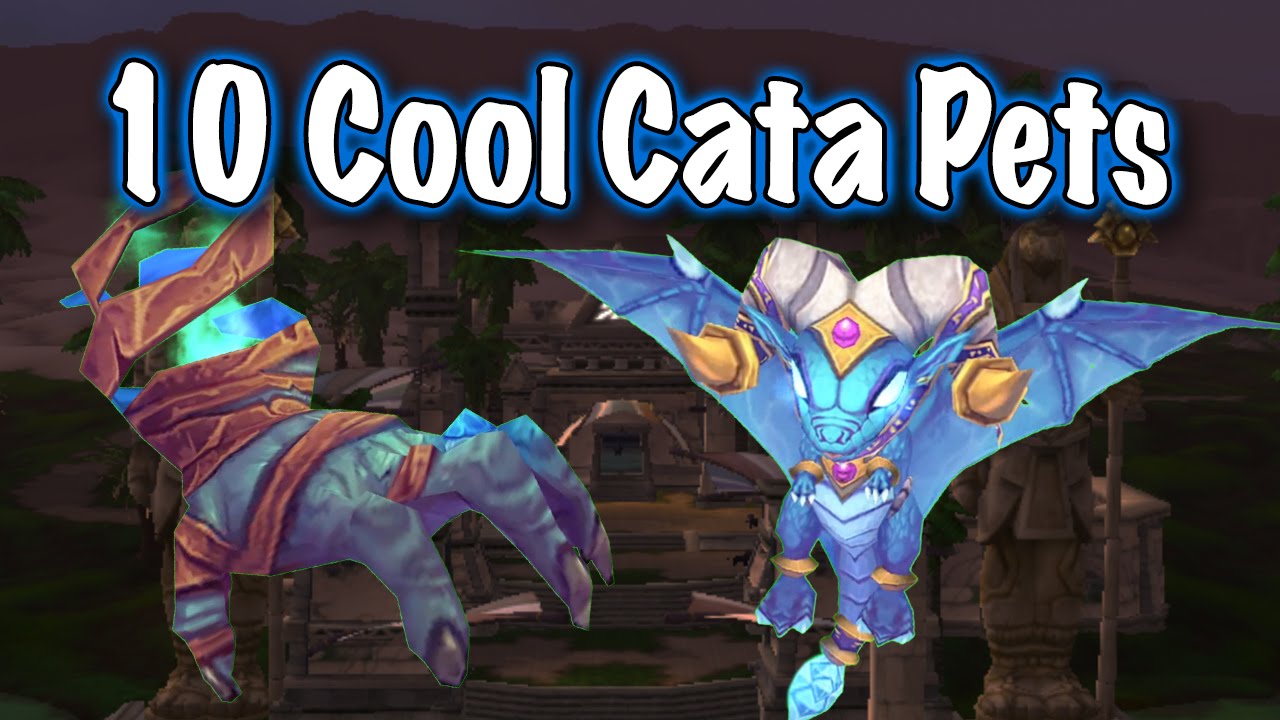 Jessiehealz 10 Awesome Cata Pets Display (World of Warcraft) YouTube