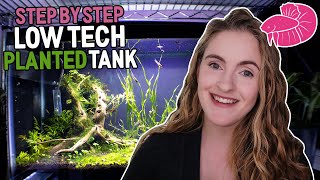Low Tech Planted Betta Tank - Step By Step - How I Made it then nearly RUINED it