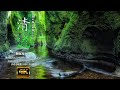 【環境音/ASMR】水の流れる音や自然の風景の優しい音/ 疲れた心身の回復・リラックス・勉強中や作業用にもどうぞ。