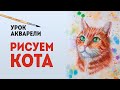 КАК НАРИСОВАТЬ КОТА? Акварель мастер класс (простые рисунки).