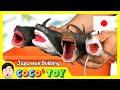 伝説のメガロドンを誤って目覚めさせてしまった｜動物の名前、新生代の動物｜日本語ダビング｜CoCosToy