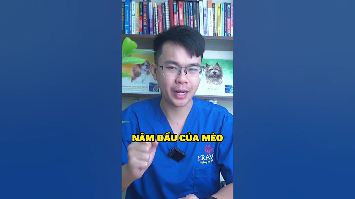 Tiêm phòng vaxcin mèo thế nào cho đúng  #eravet #bacsithuy #tiemvacxinchomeo