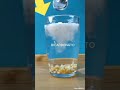 Experimento de Reacción Química que Hace Flotar el Maíz