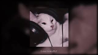 DNCE - Cake By The Ocean speed up