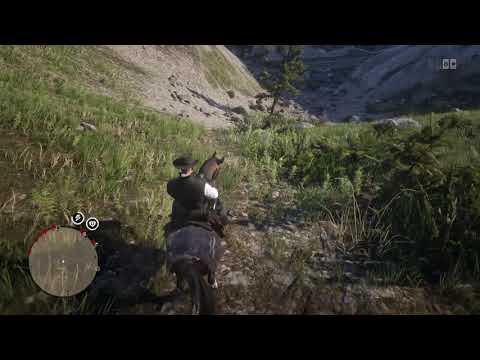 Red Dead Redemption 2  Upps ein kleiner schups