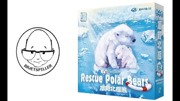 Rescue Polar Bear Data & Temperature - Review (in English)
